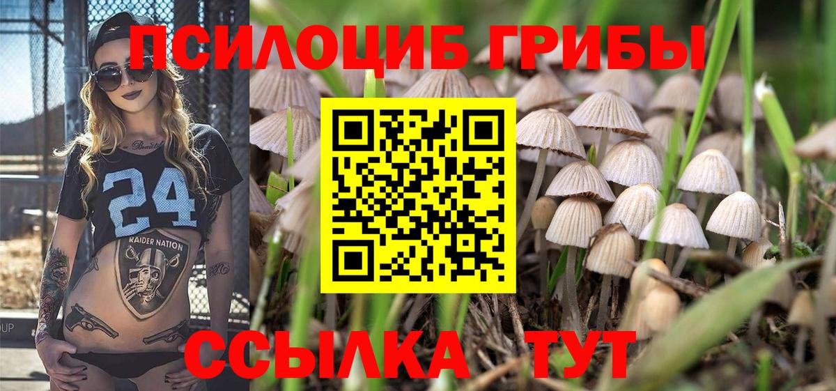 ГЕРОИН  Ахтубинск  ГАШ  Кокаин  Магазин наркотиков  Кодеин  Конопля  Вход с VPN  МЕФ  
