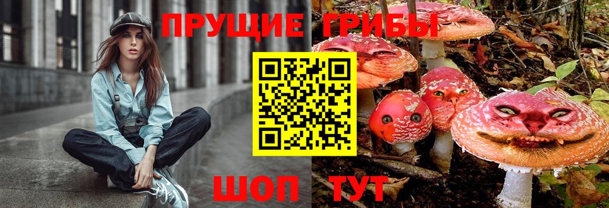 Галлюциногенные грибы Cubensis Ахтубинск